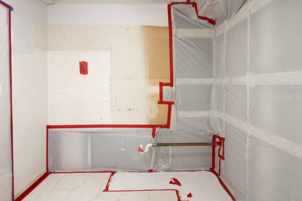 Best Mold Documentation for Insurance Claims  in Mount Shasta, CA
